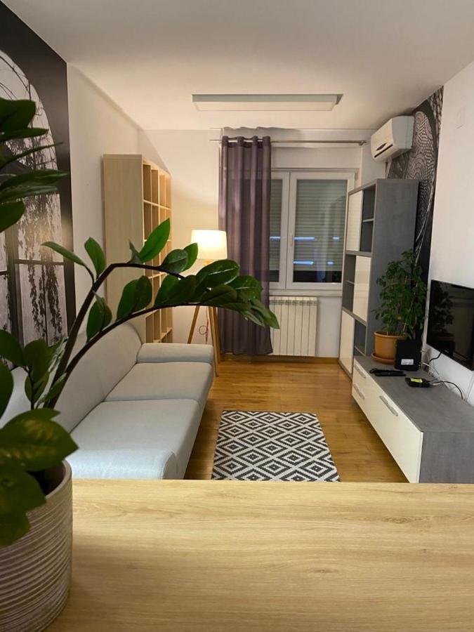 בלגרד Benvenuti Apartments מראה חיצוני תמונה
