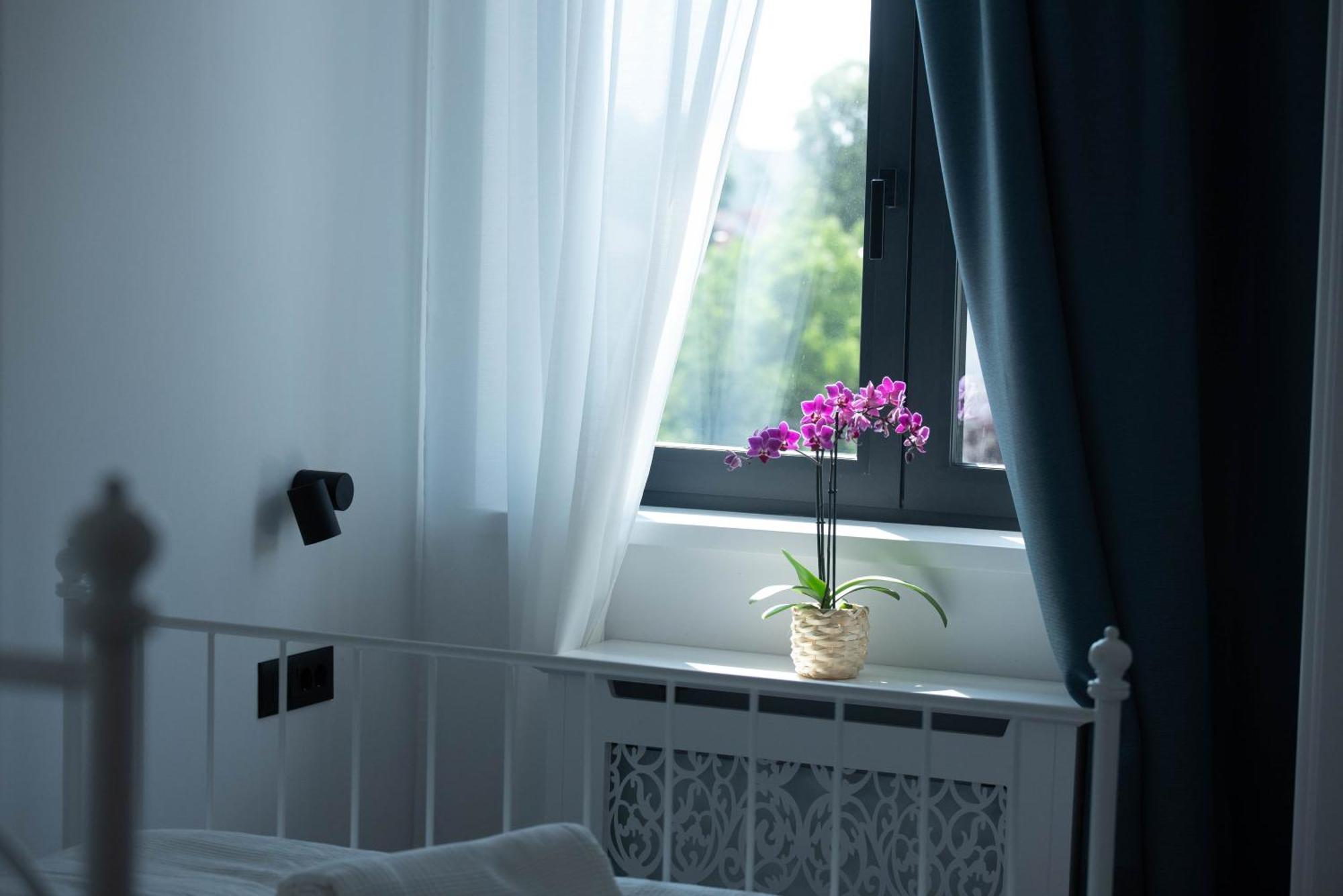 בלגרד Benvenuti Apartments מראה חיצוני תמונה