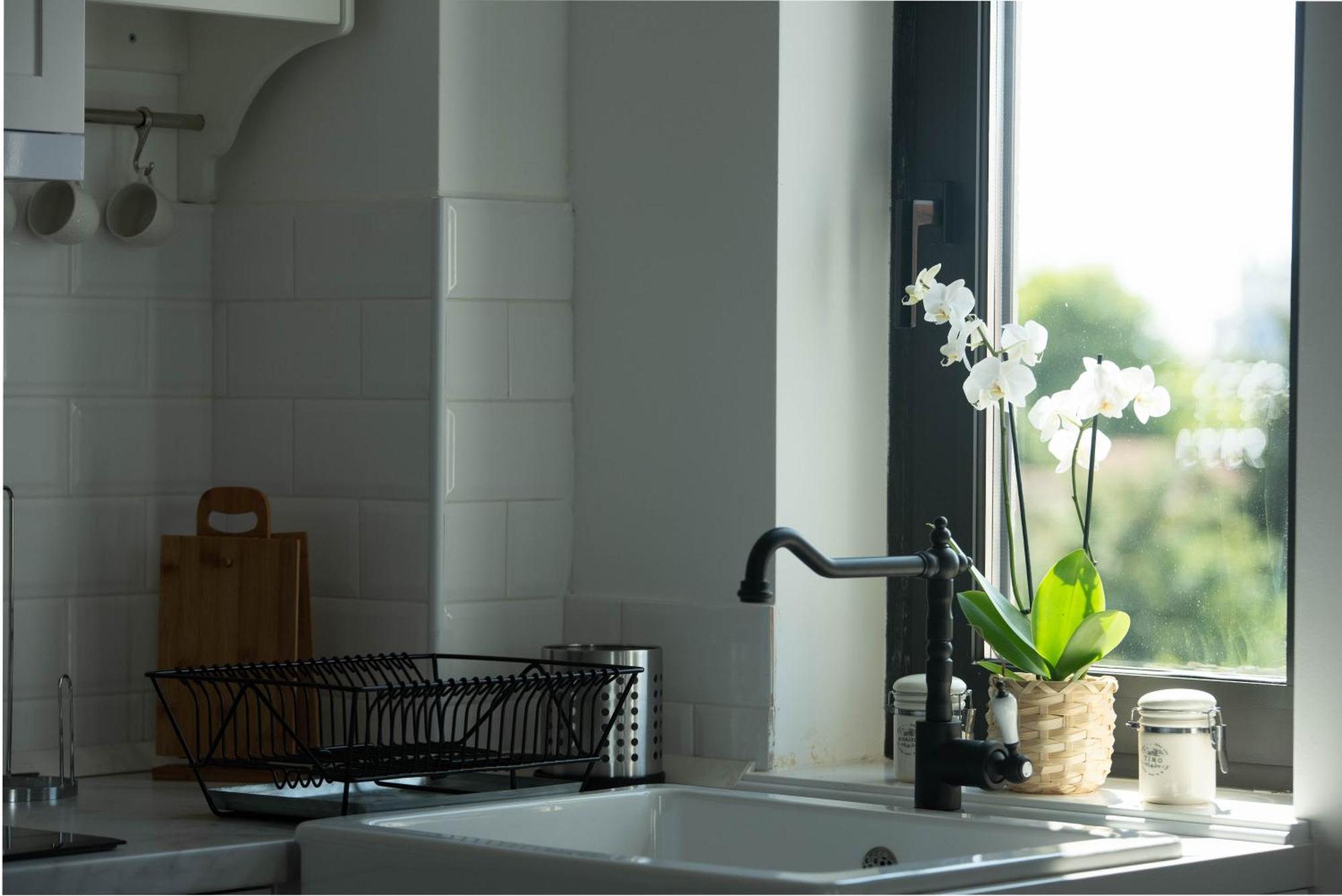בלגרד Benvenuti Apartments מראה חיצוני תמונה